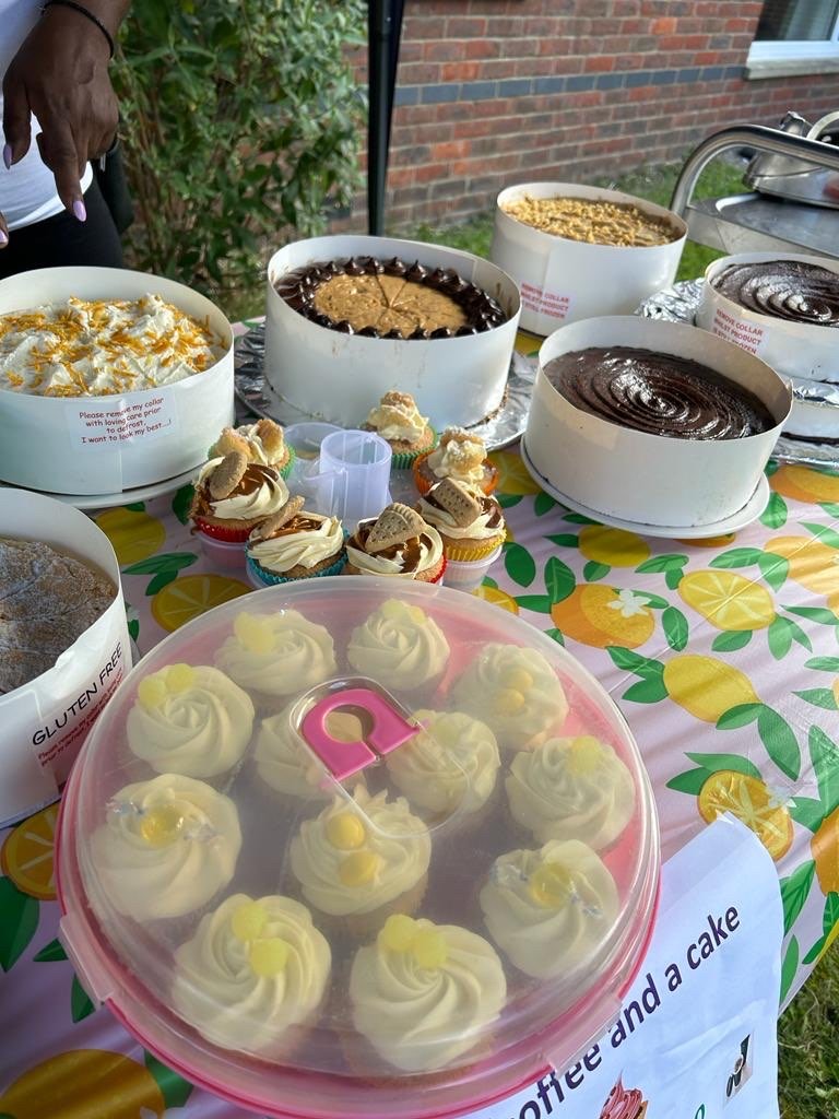 different assortments of homemade cakes, some cupcakes and some larger cakes